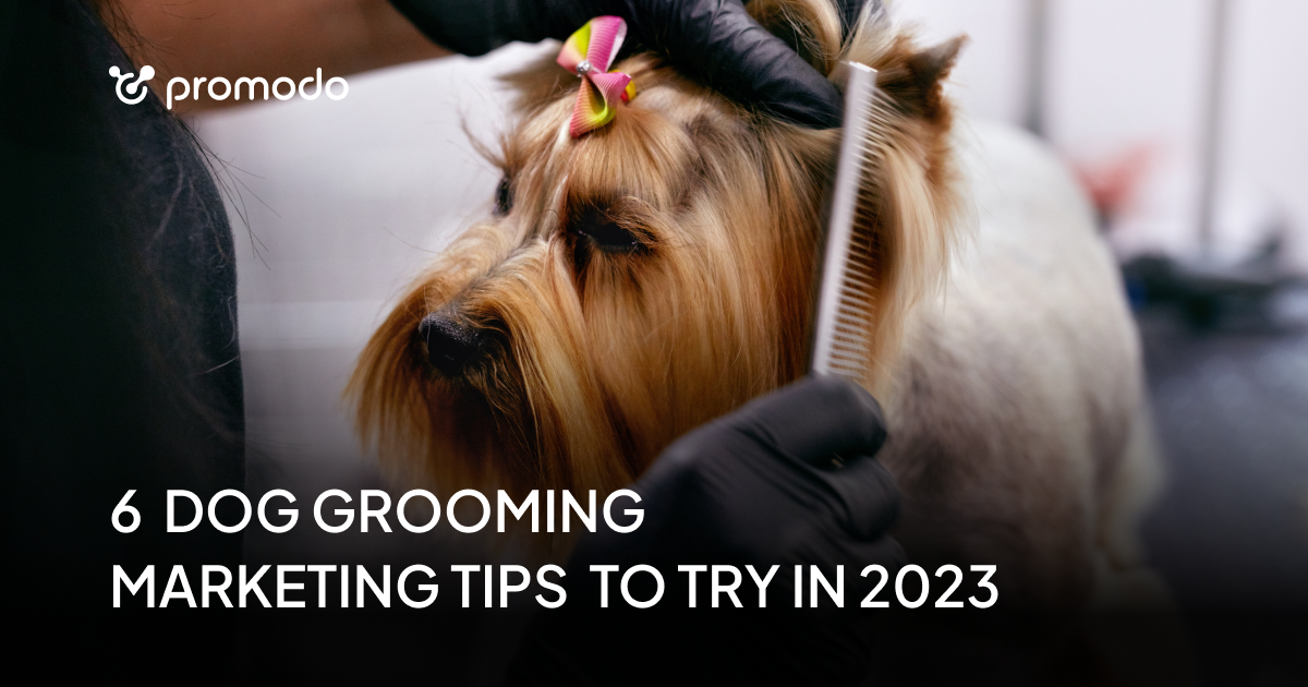 6 Proven Dog Grooming Marketing Tips & Advertising Ideas to Try